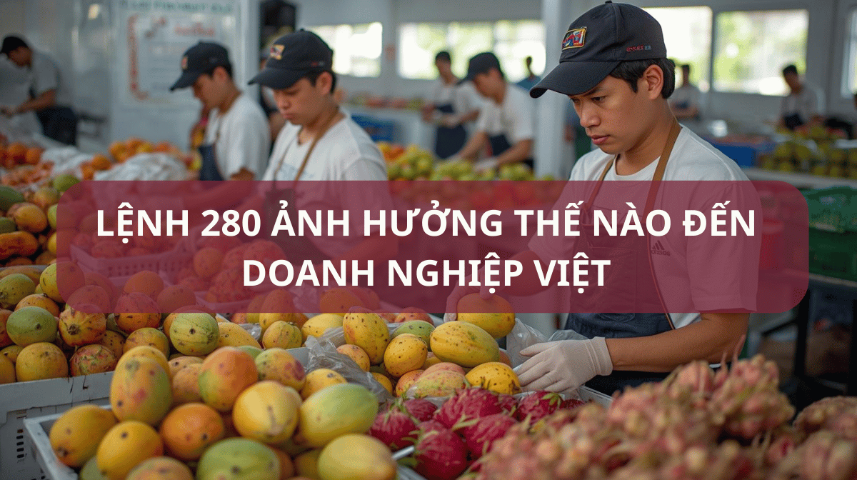 Lệnh 280 GACC: Doanh nghiệp thực phẩm Việt Nam cần chú ý những gì khi xuất khẩu sang Trung Quốc?