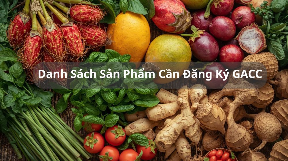 Danh Sách Sản Phẩm Cần Đăng Ký GACC Khi Xuất Khẩu Vào Trung Quốc 2025